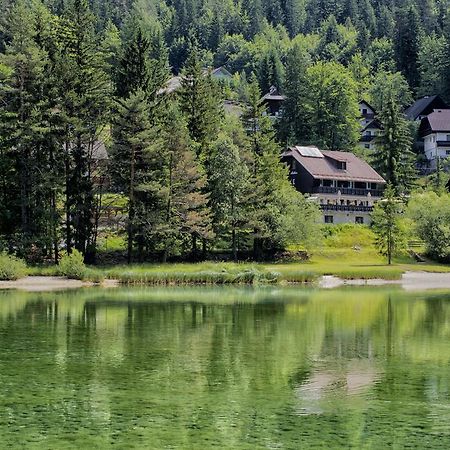 A Million Dollar View Apartment Kranjska Gora Ngoại thất bức ảnh